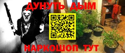 хмурый Кингисепп